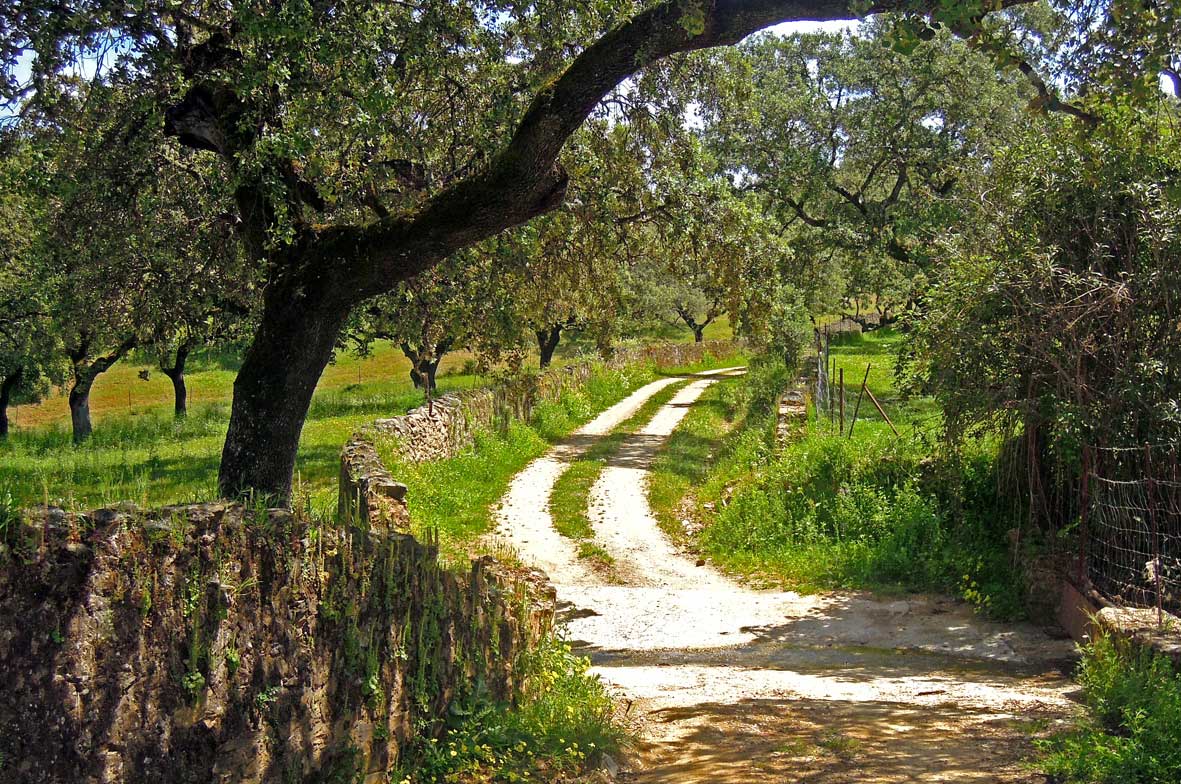 Arriba y Abajo. Turismo rural en Zufre, Sierra de Aracena