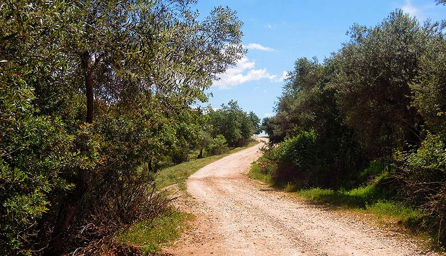 Arriba y Abajo. Turismo rural en Zufre, Sierra de Aracena