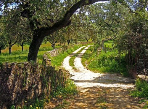 Arriba y Abajo. Turismo rural en Zufre, Sierra de Aracena