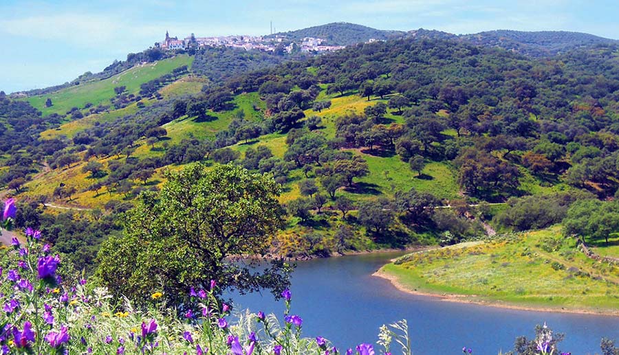 Arriba y Abajo. Turismo rural en Zufre, Sierra de Aracena